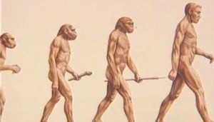 evoluce.jpg